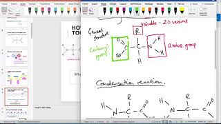 Proteins  Part 1 Amino Acids Dipeptides and Primary Structure [upl. by Imaon]