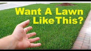 How To Fix An Ugly Lawn  Lawn Care Tips For Beginners [upl. by Enahs744]