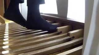 JS Bach  Passacaglia and Fugue in C minor BWV 582  Irene De Ruvo organ [upl. by Arimay775]