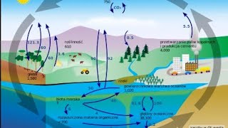 OBIEG WĘGLA W PRZYRODZIE [upl. by Shaine24]
