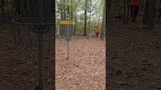 discgolf discgolflife discmania discmaniap3x disclife dangdiscgolf birdie workingmansbirdie [upl. by Walt]