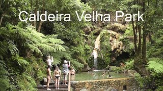 AZORES Caldeira Velha Park  São Miguel Island [upl. by Eilema]