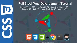 16 Specificity in CSS  Full stack web development Tutorial Course [upl. by Orit907]