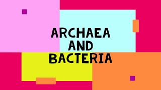 Archaea and Bacteria [upl. by Chrisse]