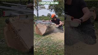 Chainsaw milling Honey Locust Gleditsia with Stihl ms441 stihl milling chainsawman homestead [upl. by Avuha]