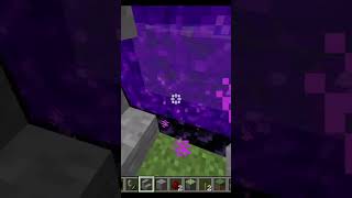 MINDBLOWING Nether Portal HACKS for Minecraft SHORTS [upl. by Llehsad655]