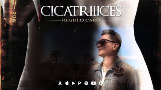 quotCICATRIIICESquot Regulo Caro Audio [upl. by Sommer]