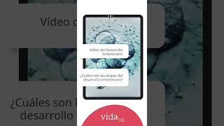 Desarrollo embrionario IVF día a día hasta llegar a Blastocisto  Vida Fertility [upl. by Wynne664]