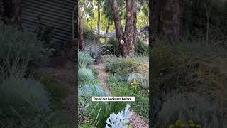 A garden makeover BEFORE amp AFTER  Garden Design  Landscape Design  Gardening in Australia [upl. by Enelahs]