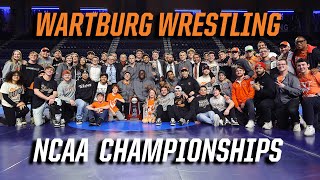 Wartburg Mens Wrestling 2023 NCAA Championships Highlights [upl. by Dieterich]