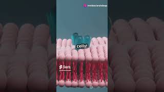 What is the Plasma Membrane biology facts cellbiology science quiz education genetics [upl. by Nettle]