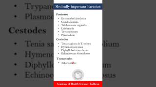 Important Parasites  Medical Parasitology  by Imran Yaseen [upl. by Alitta]