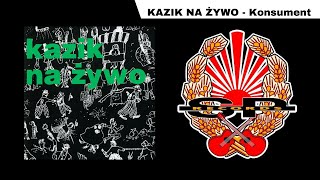 KAZIK NA ŻYWO  Konsument OFFICIAL AUDIO [upl. by Zined]