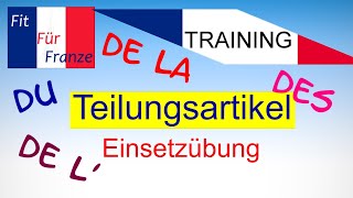 TRAINING Teilungsartikel  Einsetzübung [upl. by Yukio423]