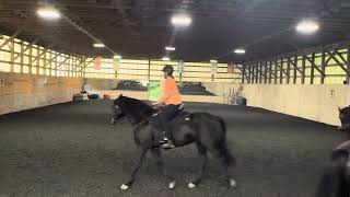 Quadrille Kindful Training [upl. by Beach668]