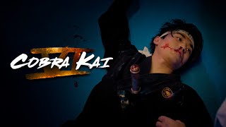 Cobra Kai TEMPORADA 6 Parte 1 y 2 Resumen en 1 video [upl. by Paulson671]