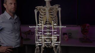 9 and 4 abdominal anatomical regions [upl. by Yerocaj641]