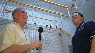 Visiting with Huell Howser Red Canaries [upl. by Yvonne]