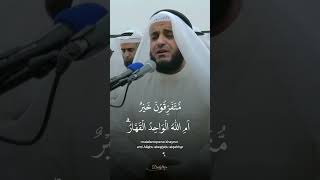 Beautiful Quran Recitation [upl. by Graehl]