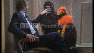 oliver reed in a gorilla suit [upl. by Weinstock]