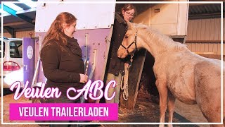 VeulenABC  Voor het eerst trailerladen met een veulen [upl. by Ringo]