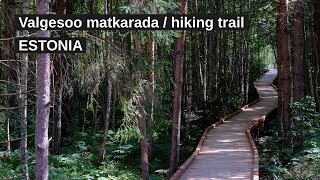 Valgesoo matkarada  hiking trail Estonia 4K video [upl. by Gwenora]