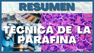 Tecnica Histologica Preparación del Tejido 7 Pasos [upl. by Warila565]