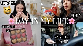 day in my life first time waxing my 🐱  grocery haul  rant [upl. by Yvan]