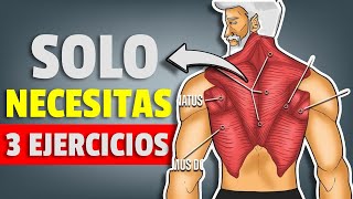 ✅Los ÚNICOS 3 ejercicios de ESPALDA con mancuernas Para Hombres Mayores De 30 Años workout [upl. by Eeclehc]