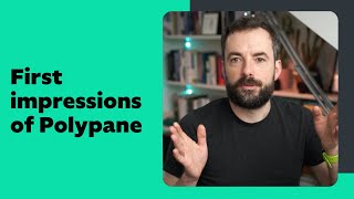 Reviewing Polypane for responsive website tweaks [upl. by Nilre]