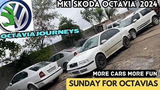 Sunday is for Octavia’s  Mk1 Octavia restoration journeys  modification projects of octy  Skoda [upl. by Aihsena611]