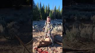 2024 successful Wyoming Elk Hunt [upl. by Icat]