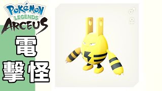 【Arceus】Pokedex Elekid 電擊怪 在哪？ 圖鑑 No182【Pokémon LEGENDS アルセウス】【阿爾宙斯】 [upl. by Mlawsky]