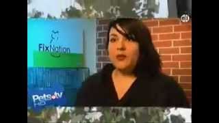 FixNation  Pets TV Segment 2 [upl. by Dean493]