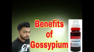 Benefits of Gossypium Q homeopathic medican explain by Drhamza [upl. by Koh596]