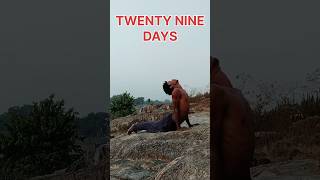 Twenty nine days 🇮🇳🦍shorts exercise pachuvines [upl. by Htez]