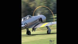 Hawker Sea Fury takeoff warbirds aviation aircraft radialengine [upl. by Klimesh]