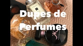 Dupes Perfumes Similares [upl. by Airotel]