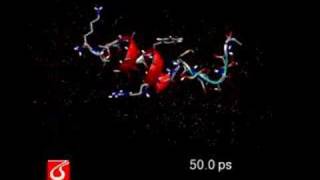 Molecular dynamics simulation [upl. by Dannica]