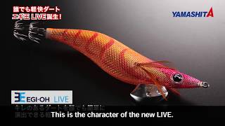 New Squid jig「EGI OH LIVE」debuts from YAMASHITA Spring in 2019 [upl. by Tfat]