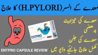 Entpro capsules uses in Urdu  hpylori treatment  entpro capsules dosage  entpro capsules [upl. by Relyt779]