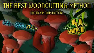 Fossil Island Sulliusceps OSRS Woodcutting Guide [upl. by Aietal]