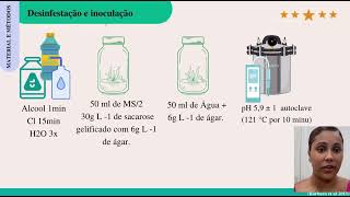 Estabelecimento in vitro de sementes de Micranthocereus purpureus e Cereus jamacaru [upl. by Nocam]