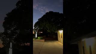 Toowoomba Australia visitaustralia youtubeshorts ytshort youtube trending viralvideo shorts [upl. by Solon]