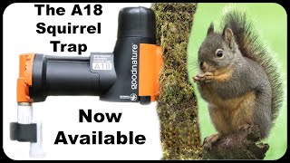 The A18 Squirrel Trap Is Now Available In The United States Mousetrap Monday [upl. by Eiclek]