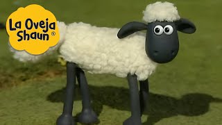 La Oveja Shaun 🐑 AVENTURA CON OVEJAS 🐑 Dibujos animados para niños [upl. by Sucul]