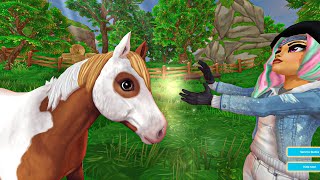 Buying New Ponies At Pony Championship Star Stable Online Update [upl. by Ferneau]