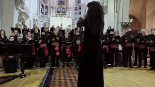 Cherubic Hymn from the Liturgy of St John Chrysostom P Tchaikovsky Slavic Voices choir [upl. by Er]