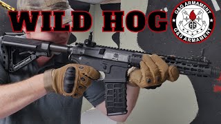 GampG Combat machine CM16 Wild hog Review [upl. by Tarsus]