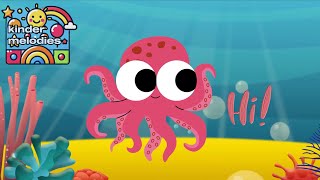 Octopus Song for Kids  Fun amp Playful Underwater Adventure [upl. by Ellyn]